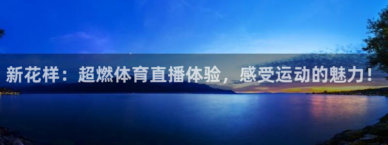 上海杏耀汽车电子有限公司