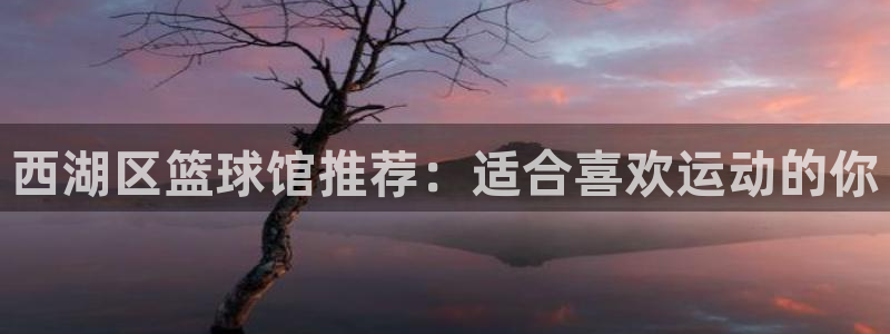 德国杏耀集团
