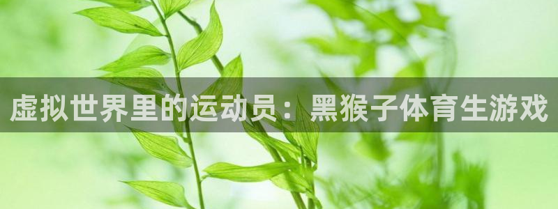 杏耀注册开户