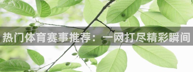 杏耀2平台登录